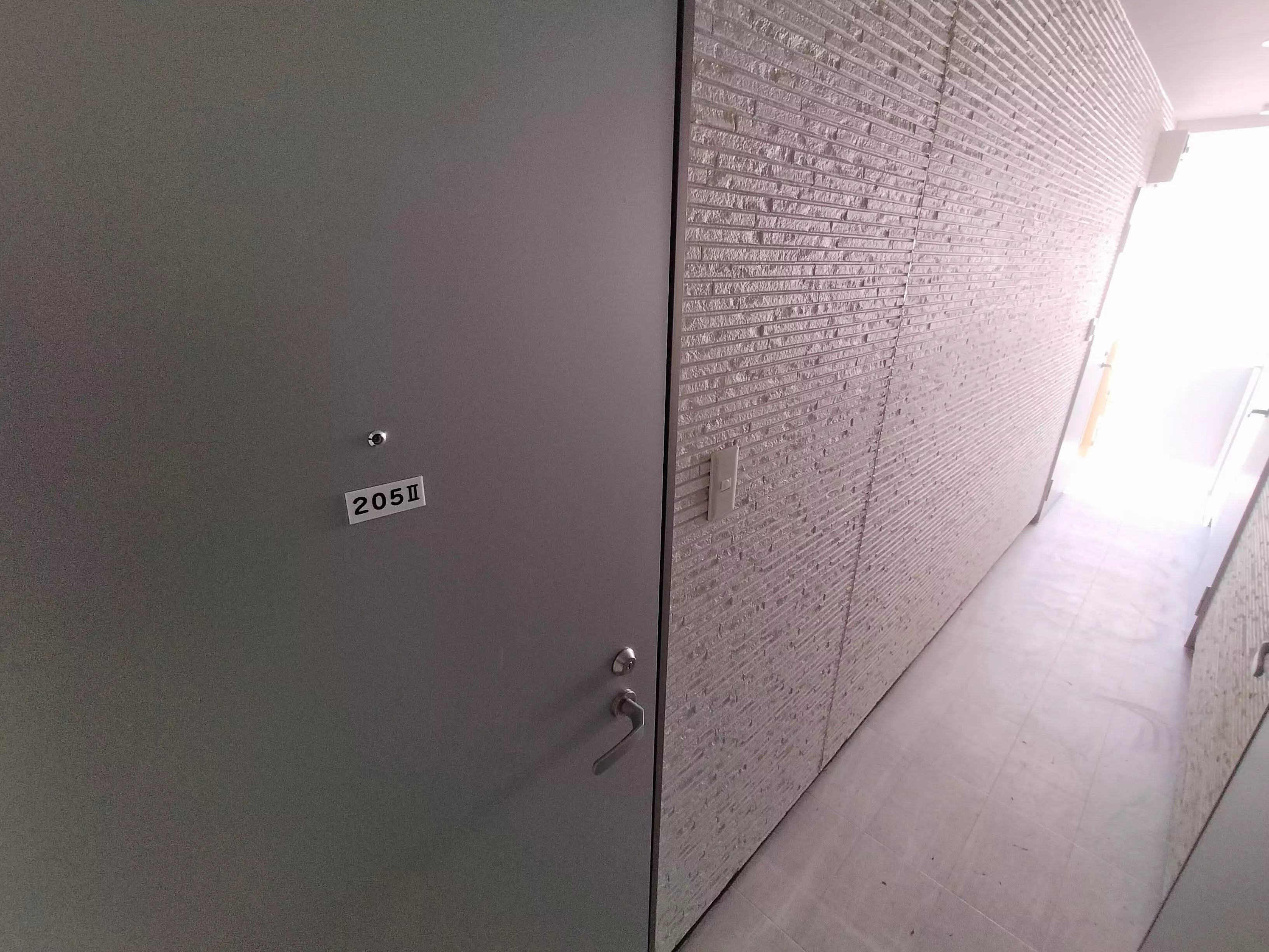 AP112 Palace Nakagawa II 205 (Kameari) photo 5